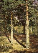 Ivan Shishkin Pine Wood Illuminated by the Sun painting